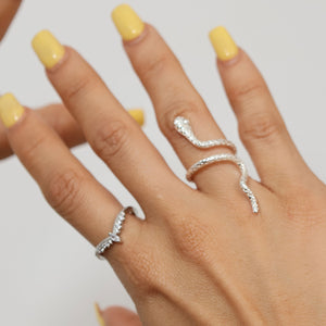 Anillo Princes