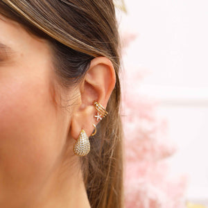 Aretes Floresta