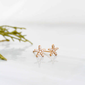 Aretes Floresta