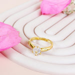 Anillo Luminosa