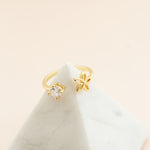 Anillo Gaia