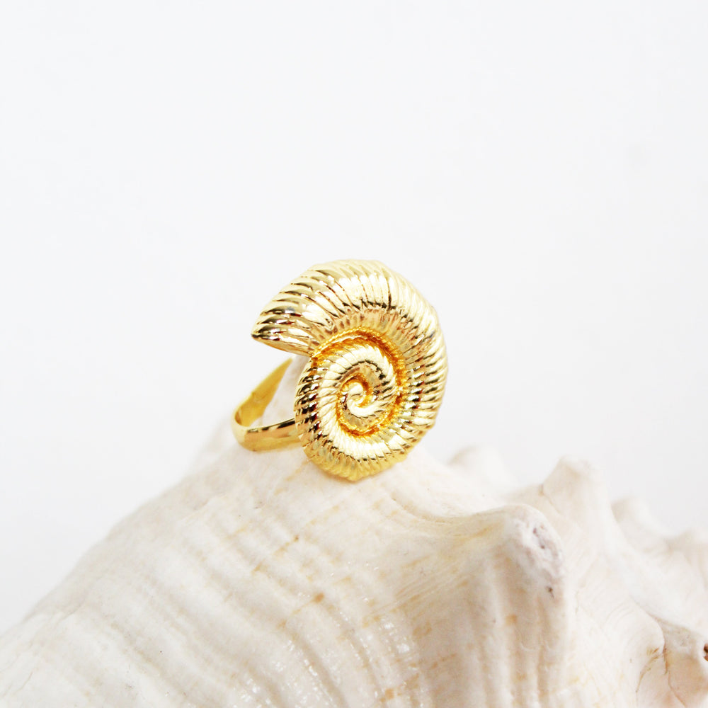 Anillo Caracol