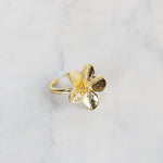 Anillo Lira