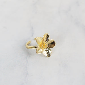 Anillo Lira