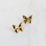 Aretes Lazos Mariposa