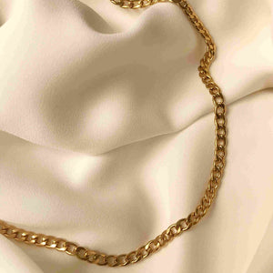 Collar Lomo foto producto