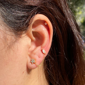 Aretes Flor y Almendra